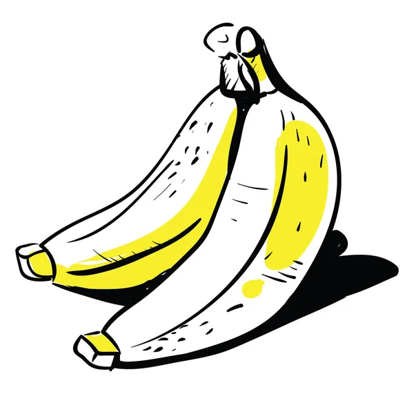 Banana Drawing Illustration Vector White Background — Stock Vector