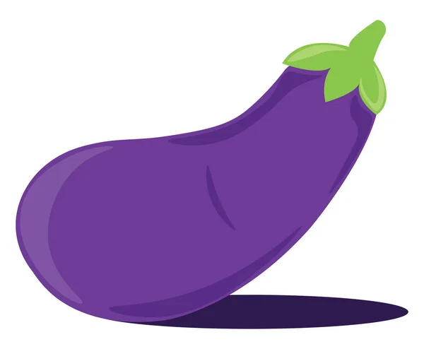 紫色茄子 白色背景上的载体 — 图库矢量图片