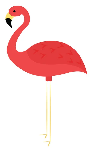 Красный Фламинго Иллюстрация Вектор Белом Фоне — стоковый вектор