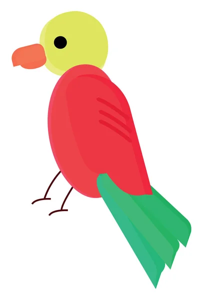 Colorful Bird Illustration Vector White Background — Stock Vector