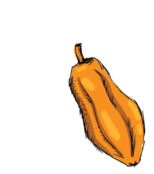 Esbozo Papaya Ilustración Vector Sobre Fondo Blanco — Vector de stock