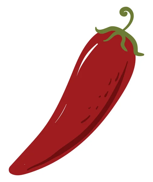 Piment Rouge Illustration Vecteur Sur Fond Blanc — Image vectorielle