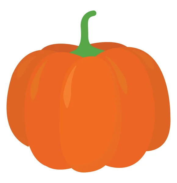 Citrouille Orange Illustration Vecteur Sur Fond Blanc — Image vectorielle