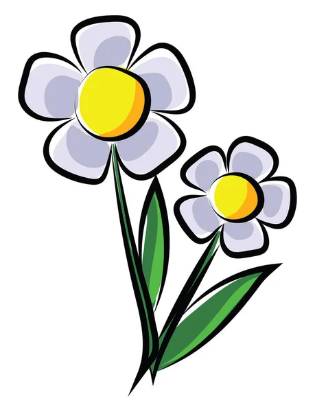 Twee Prachtige Bloemen Illustratie Vector Witte Achtergrond — Stockvector