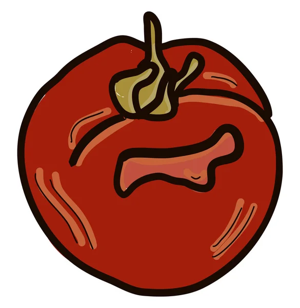 Fersk Tomat Illustrasjon Vektor Hvit Bakgrunn – stockvektor