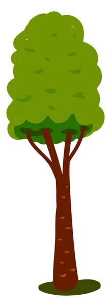 Árbol Largo Alto Ilustración Vector Sobre Fondo Blanco — Vector de stock