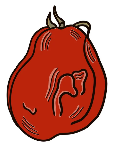 Tomate Pourrie Illustration Vecteur Sur Fond Blanc — Image vectorielle
