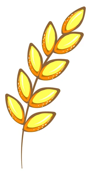 Yellow Wheat Illustration Vector White Background — Stock Vector