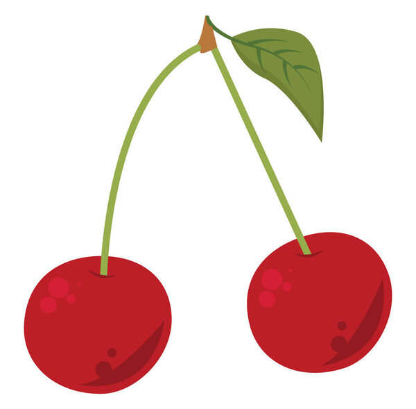 Свежая вишня, иллюстрация, вектор на белом фоне
.