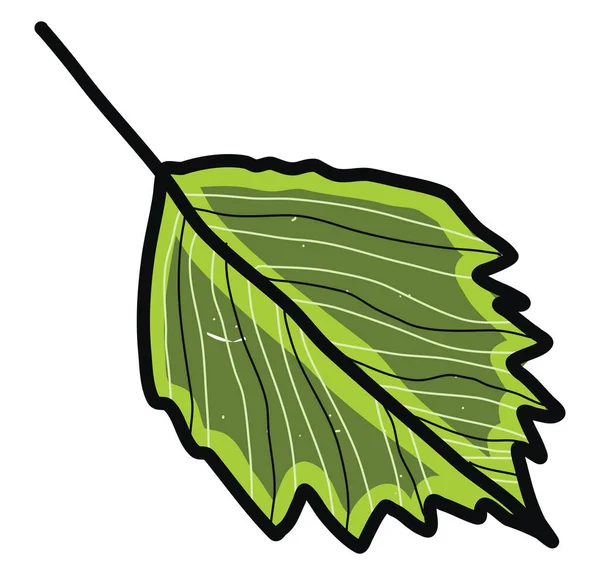 Hoja Verde Decorativa Ilustración Vector Sobre Fondo Blanco — Archivo Imágenes Vectoriales