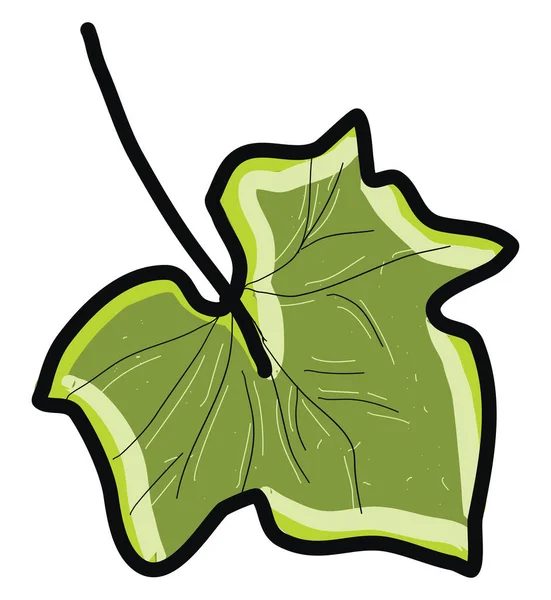 Hoja Árbol Verde Ilustración Vector Sobre Fondo Blanco — Vector de stock