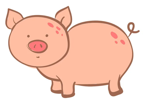 太った豚 イラスト 白い背景のベクトル — ストックベクタ