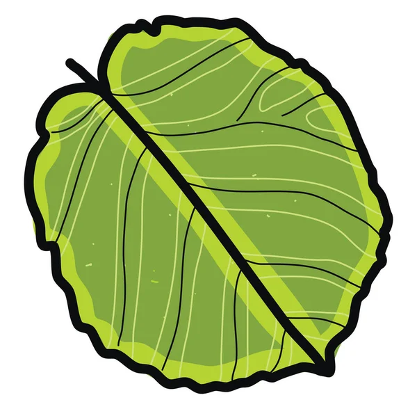 Green Leaf Illustration Vector White Background — Stock Vector