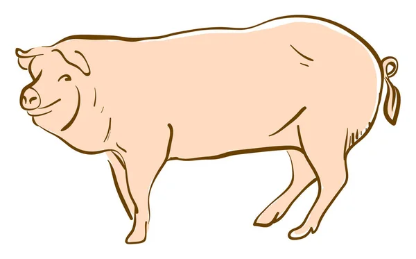 Fat Pig Illustration Vector White Background — Stock Vector