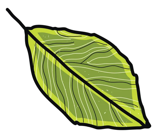 Hoja Árbol Verde Ilustración Vector Sobre Fondo Blanco — Archivo Imágenes Vectoriales