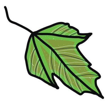Yeşil küçük yaprak, illüstrasyon, beyaz arkaplan üzerindeki vektör.