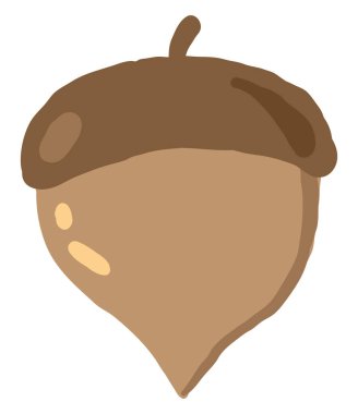 Düz meşe palamudu, illüstrasyon, beyaz arkaplanda vektör.