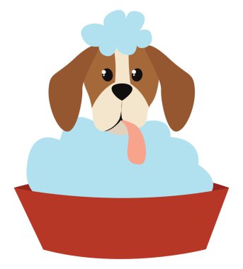Köpek yıkama, illüstrasyon, beyaz arkaplanda vektör.