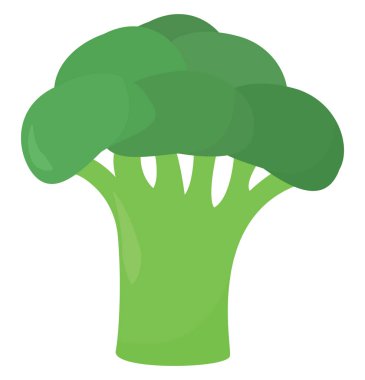 Düz brokoli, illüstrasyon, beyaz arkaplan üzerindeki vektör.