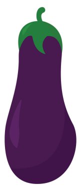 Mor patlıcan, illüstrasyon, beyaz arkaplanda vektör.