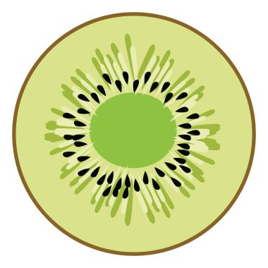 Yarım kivi, illüstrasyon, beyaz arka plan üzerinde vektör.