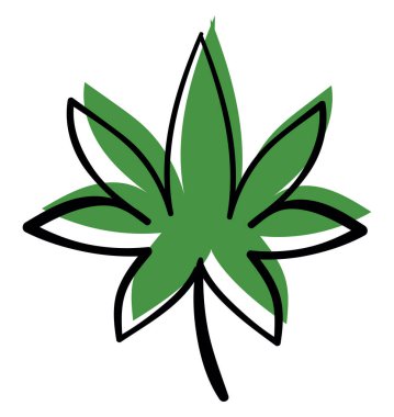 Marihuana çizim, illüstrasyon, beyaz arka plan vektör.
