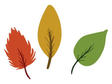 Beyaz arkaplanda çoklu renk yaprakları, illüstrasyon, vektör.