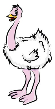 Devekuşu kuşu, illüstrasyon, beyaz arkaplan üzerindeki vektör.