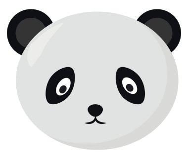 Panda başı, illüstrasyon, beyaz arkaplanda vektör.
