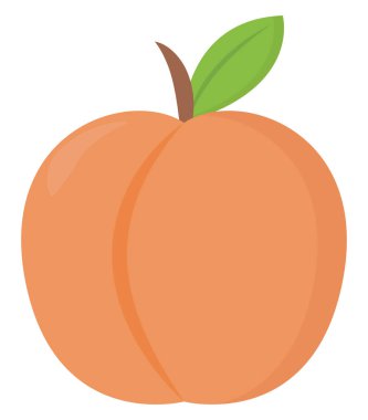 Taze şeftali, illüstrasyon, beyaz arka plan vektör.