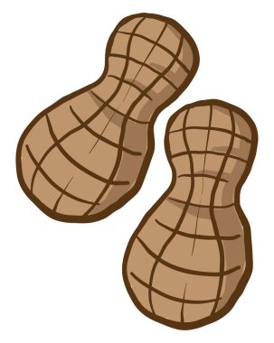 Beyaz arka planda iki fıstık, illüstrasyon, vektör.