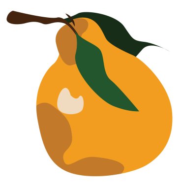 Turuncu armut, illüstrasyon, beyaz arkaplanda vektör.