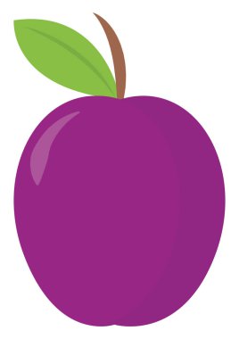 Taze erik, illüstrasyon, beyaz arkaplanda vektör.