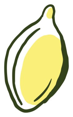 Kabak tohumu, illüstrasyon, beyaz arkaplanda vektör.