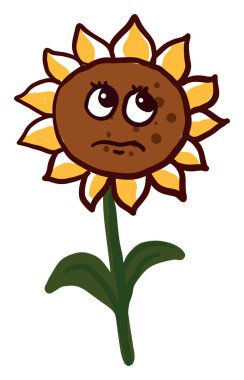 Üzgün ayçiçeği, illüstrasyon, beyaz arka plan vektör.
