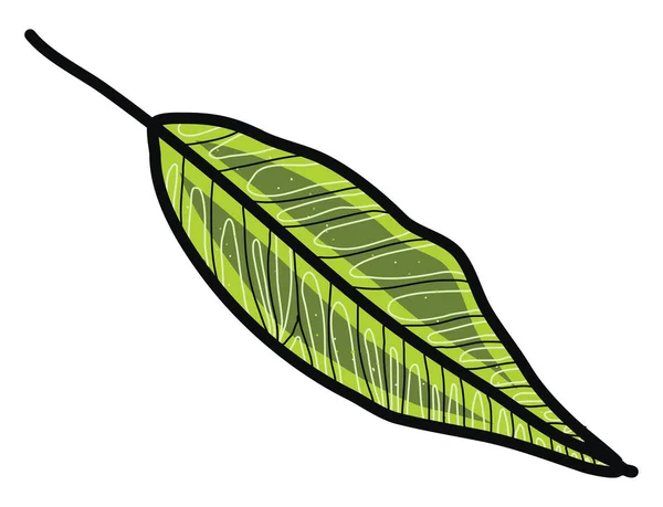 緑の葉イラスト白い背景のベクトル — ストックベクタ