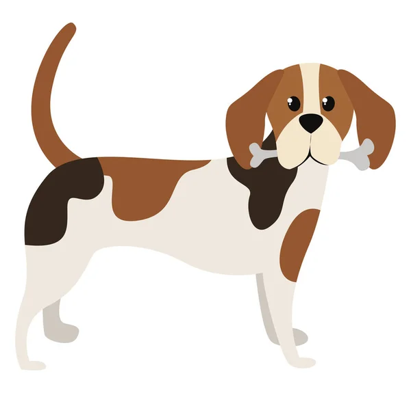 Beagle Σκύλος Εικονογράφηση Διάνυσμα Λευκό Φόντο — Διανυσματικό Αρχείο