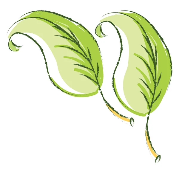 Yeşil Yapraklar Illüstrasyon Beyaz Arkaplan Üzerindeki Vektör — Stok Vektör