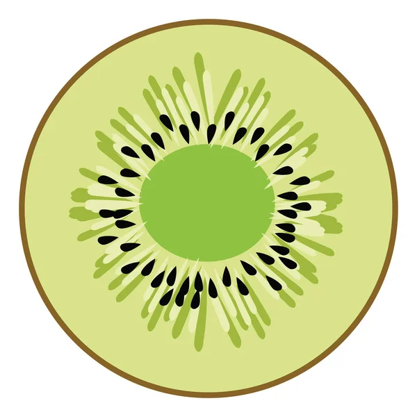 Yarım kivi, illüstrasyon, beyaz arka plan üzerinde vektör.