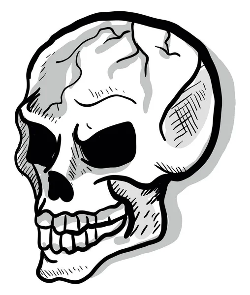 Skull Drawing Illustration Vector White Background — Stock Vector