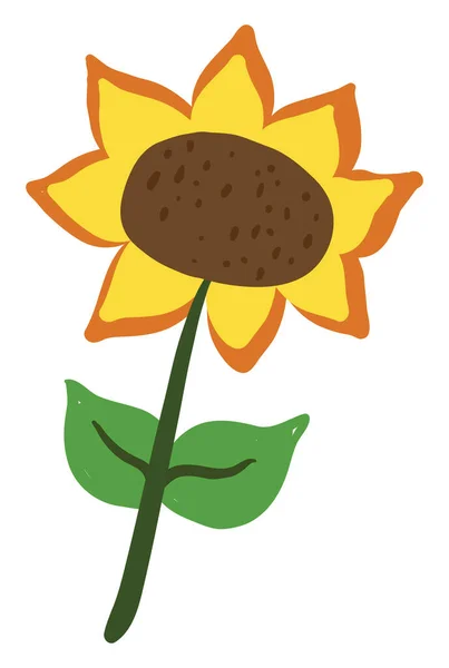 Vlakke Zonnebloem Illustratie Vector Witte Achtergrond — Stockvector