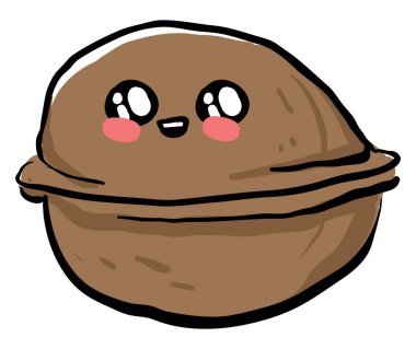 Tatlı ceviz, illüstrasyon, beyaz arkaplanda vektör.