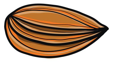 Badem çizim, illüstrasyon, beyaz arka plan vektör.