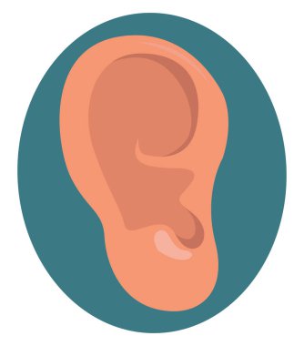 İnsan kulağı çizimi, illüstrasyon, beyaz arkaplan üzerindeki vektör.