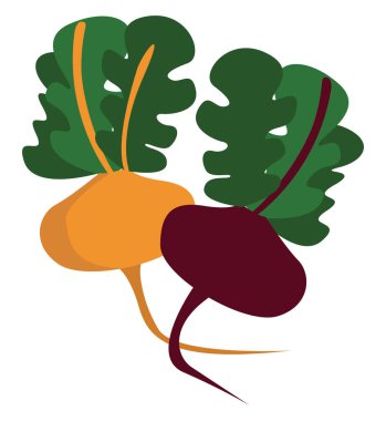 Renkli pancarlar, illüstrasyon, beyaz arkaplanda vektör.