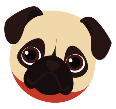 Pugs başı, illüstrasyon, beyaz arkaplan vektörü.