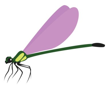 Uçan yusufçuk, illüstrasyon, beyaz arkaplanda vektör.