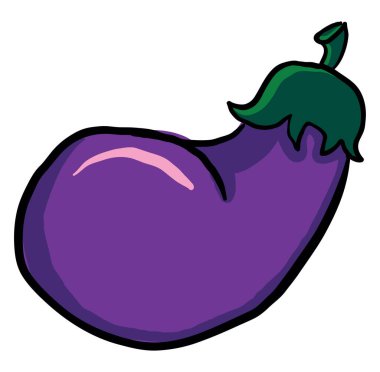 Taze patlıcan, illüstrasyon, beyaz arka plan vektör.