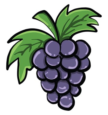 Kırmızı üzüm, illüstrasyon, beyaz arka plan vektör.