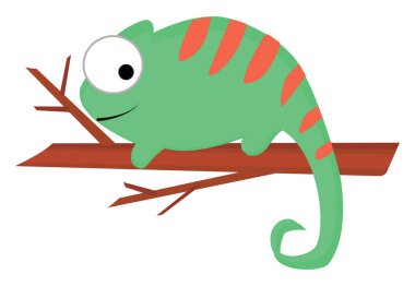 Ağaçtaki cameleon, resimleme, beyaz arkaplan üzerindeki vektör.